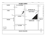 Hero's Journey Graphic Organizer
