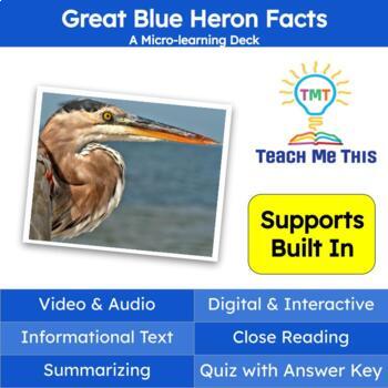 Preview of Herons Informational Text Reading Passage and Activities