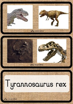 Preview of Hessian Dinosaur Fossil Cards