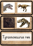 Hessian Dinosaur Fossil Cards