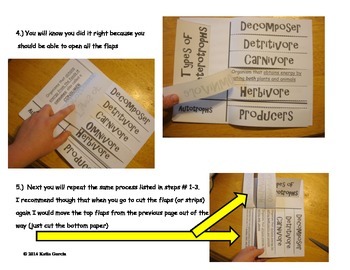 Heterotroph Autotroph Foldable by Mrs G Classroom | TpT