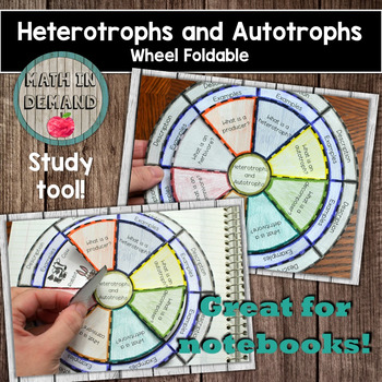 Preview of Heterotrophs and Autotrophs Wheel Foldable