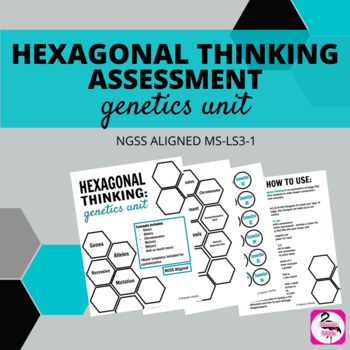 Preview of Hexagonal Thinking Assessment - Genetics Unit