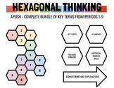 Hexagonal Thinking - US History Periods 1-9 (1491-present)