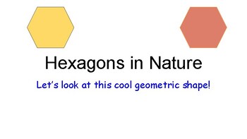 Preview of Hexagons in Nature