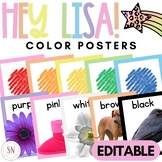 Hey Lisa! Bright & Happy Color Posters | Editable
