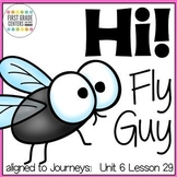 Hi! Fly Guy aligned with Journeys First Grade Unit 6 Lesson 29