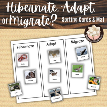 Preview of Hibernate Adapt Migrate Animal Card Sort Montessori Fall Winter