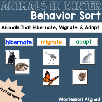 Preview of Hibernate, Migrate, Adapt Animals in Winter Behavior Sort