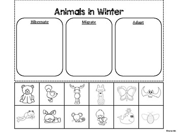 Hibernate Migrate Sort Worksheets Teaching Resources Tpt