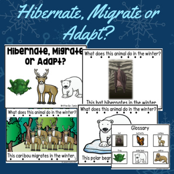 Preview of Hibernate, Migrate, Or Adapt? Emergent Reader Animals Sight Word Book Q&A Format