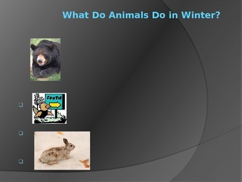 Preview of Hibernate, Migrate, and Adapt PowerPoint