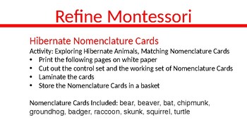 Preview of Hibernate Nomenclature Cards