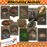 Hibernating Animals Clip art Bundle