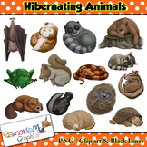 Hibernating Animals Clip art