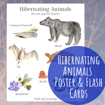 Preview of Hibernating Animals Poster and Fact Card Set