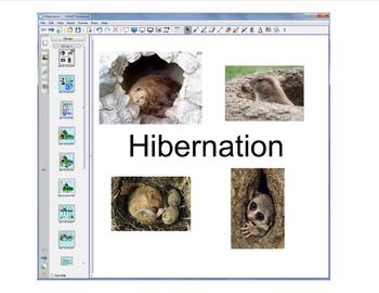 Preview of Hibernation