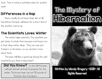 Hibernating Bear get well card – Graphic Anthology