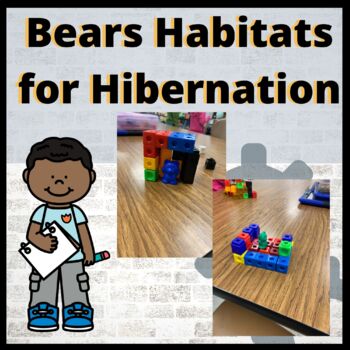 Preview of Hibernation Activity  | Digital Product