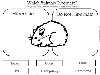 Hibernation Activity | Hibernation Kindergarten | Hibernation Worksheet
