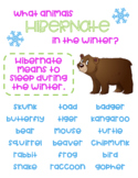 Hibernation Anchor Chart