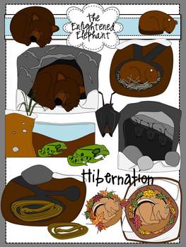 Hibernation Clip Art by The Enlightened Elephant | TpT