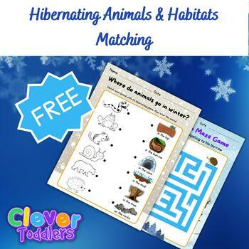 Preview of Hibernation | Matching Hibernating Animals with their Winter Habitats Activities