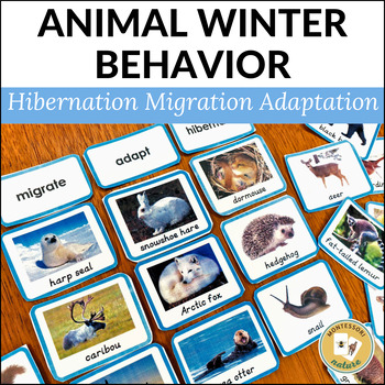 Hibernation Migration Adaptation Animal Sort - Montessori Nature