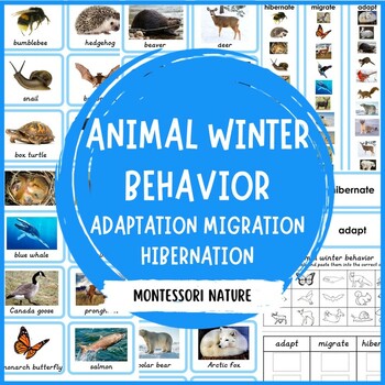 Preview of Hibernation Migration Adaptation Animal Sort