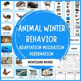 Hibernation Migration Adaptation Animal Sort