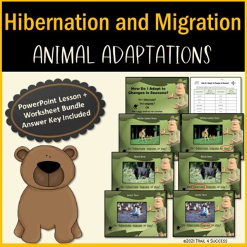 Preview of Hibernation & Migration PowerPoint Lessons and Worksheets Animal Adaptations
