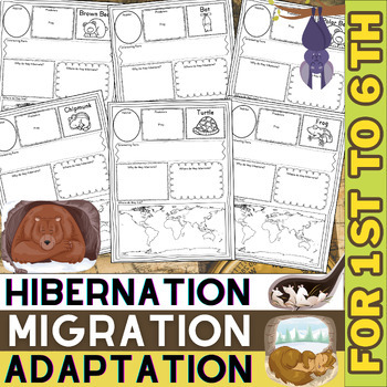 Preview of Hibernation, Migration and Adaptation | Animal Research Project Worksheets