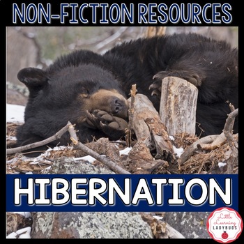 Preview of Hibernation Non-Fiction Resources | Close Reads & Informational Text