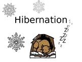 Hibernation PowerPoint