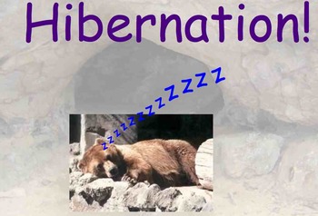 Preview of Hibernation - Preparation and Different Animals