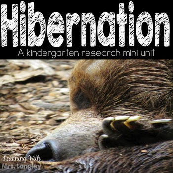 Preview of Hibernation Research Mini Unit for Kindergarten