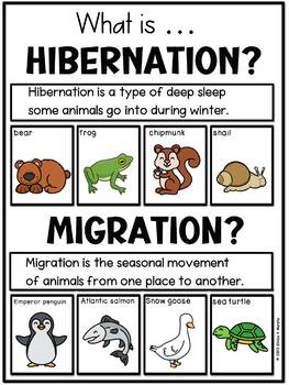 Hibernation migration posters by Murphys lesson design | TPT