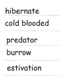 Hibernation vocabulary Activity