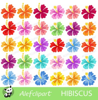 hibiscus digital clipart hawaiian flower clipart by alefclipart