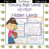 Sight Word- Hidden Words Pre-Primer 1
