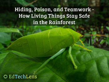 Preview of How Living Things Use Bodies and Behaviors to Protect Themselves Unit eBook