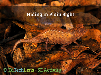 Preview of Hiding In Plain Sight - Camouflage & Mimicry Scavenger Hunt - Home User Activity