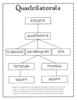 Preview of Hierarchy for Quadrilaterals