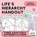 Hierarchy of Life Graphic Organizer