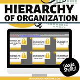 Hierarchy of Organization Lock Activity