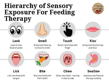 Preview of Hierarchy of Sensory Exposure For Feeding Therapy Chart