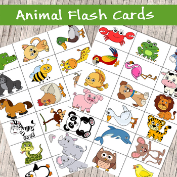 Animal Cards Printable Teaching Resources | TPT