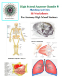 High School Anatomy - 88 Matching Worksheets - Bundle B