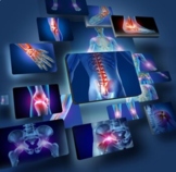Anatomy & Physiology Whole Course Growing Bundle (123 Resources!)