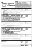 High School Art Rubric Intermediate Level